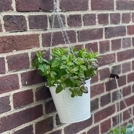 Le First, Centre Terrasse Et Parking Rouen