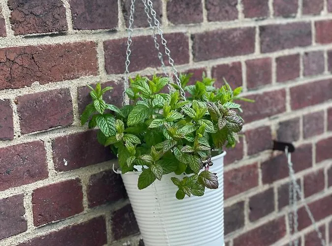 Le First, Centre Terrasse Et Parking Rouen